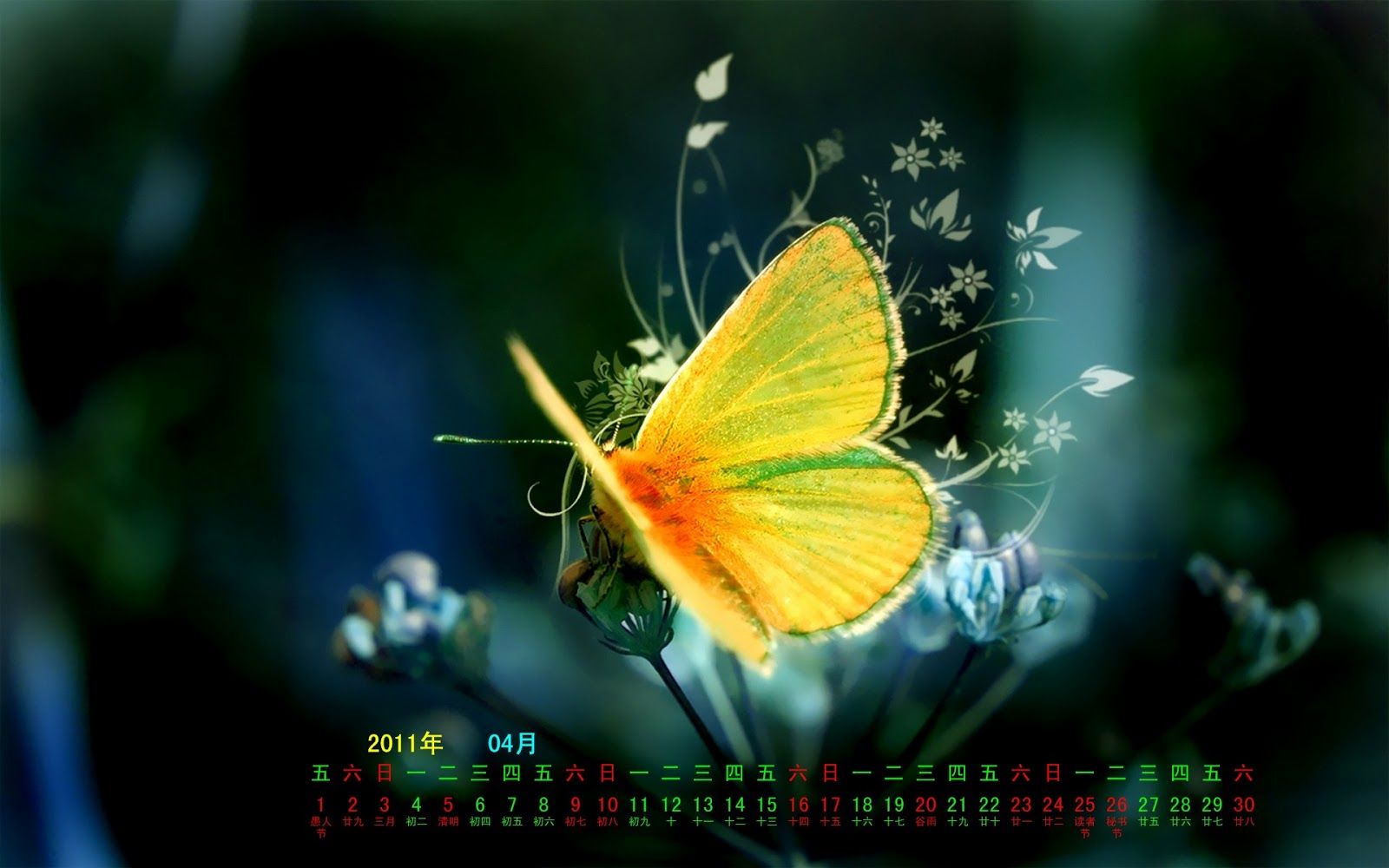 Butterfly Creative Image Pc Butterfly Wallpaper & Background Download