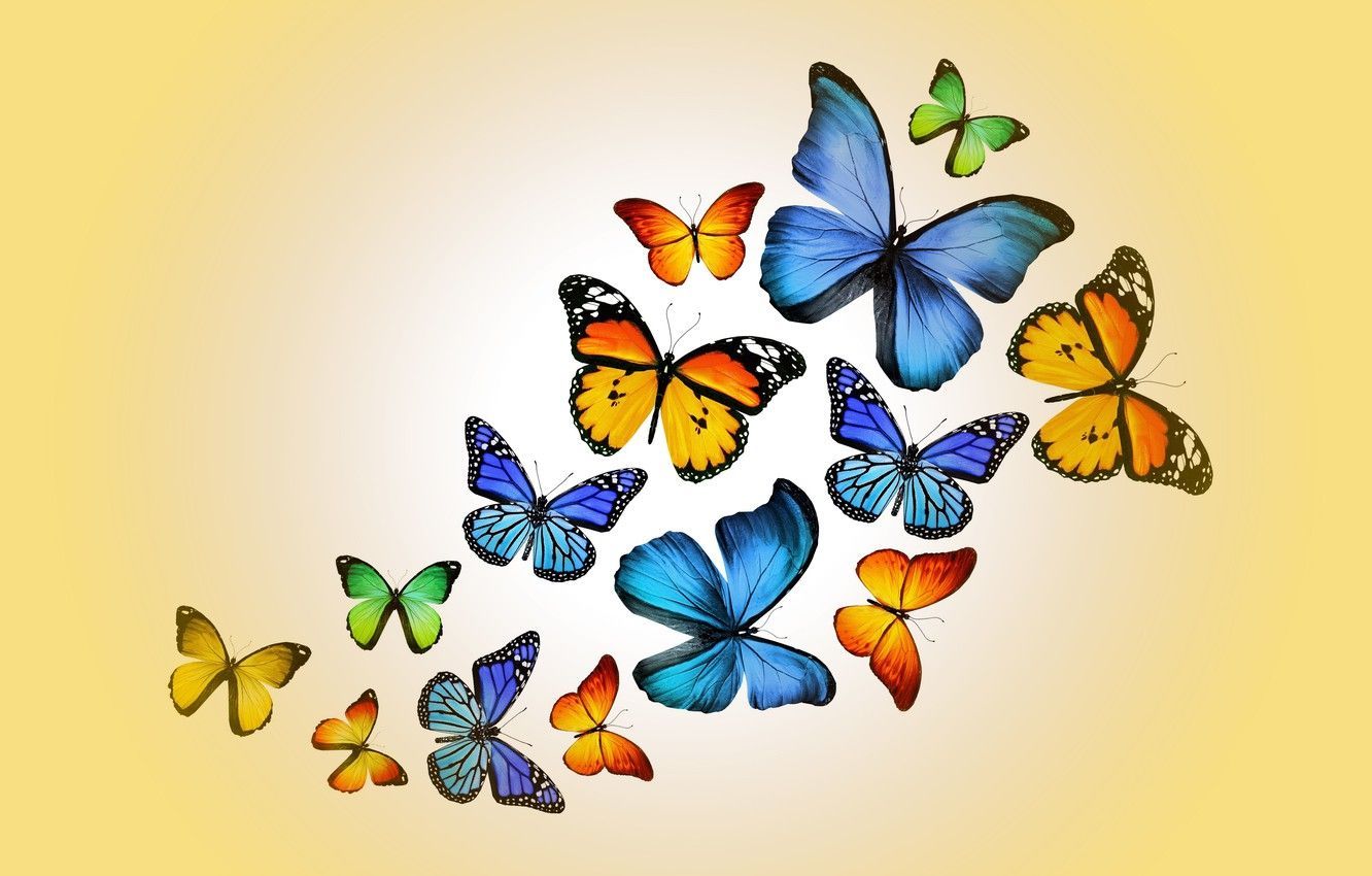 Aesthetic Butterflies Wallpaper Free Aesthetic Butterflies Background