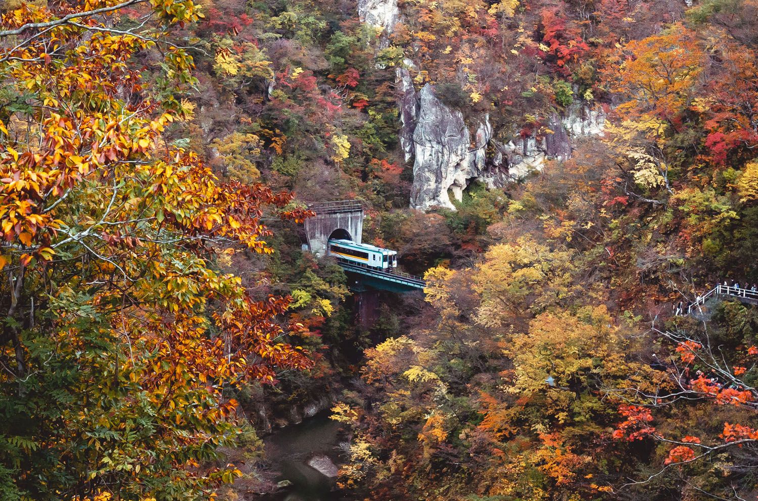 The Magic of Fall Colors