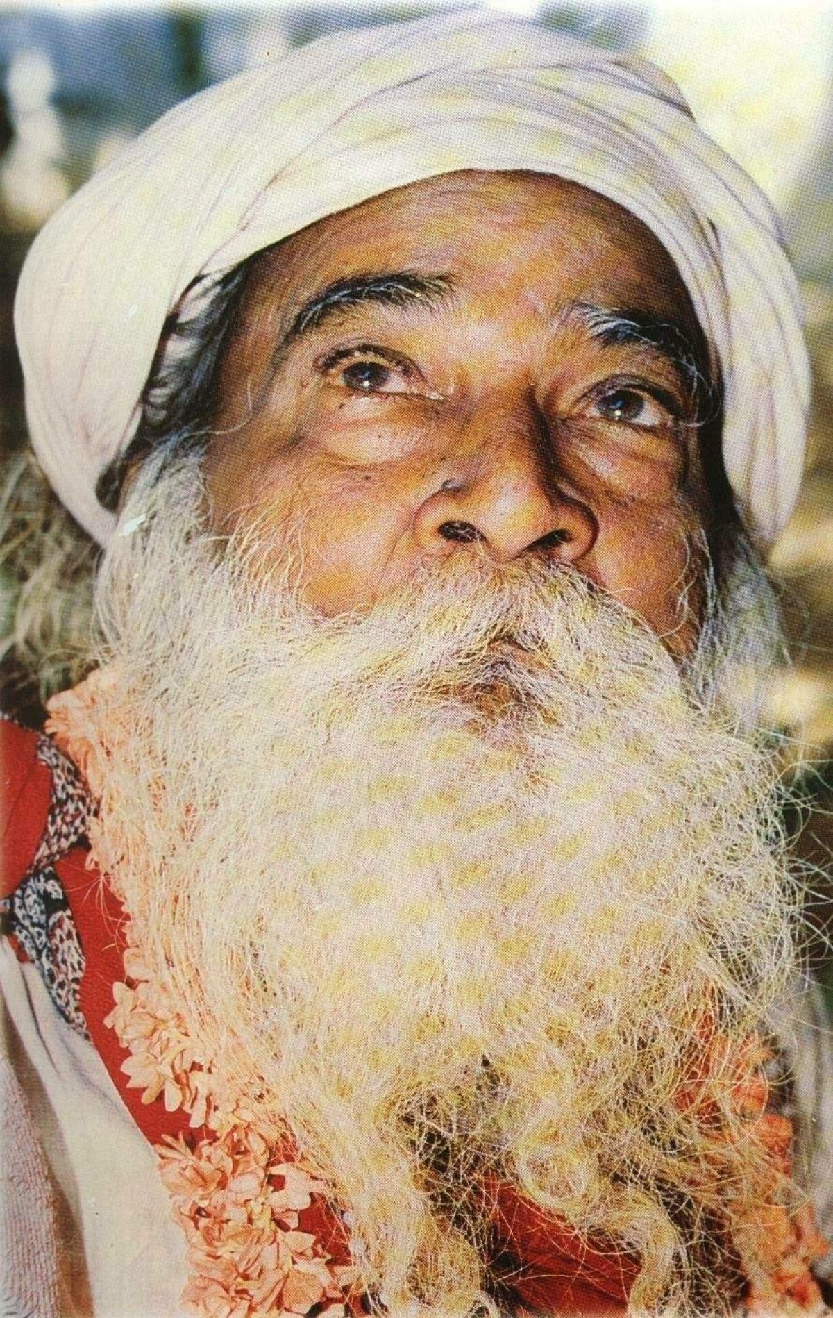 Yogi Ramsuratkumar. Fans Share Image