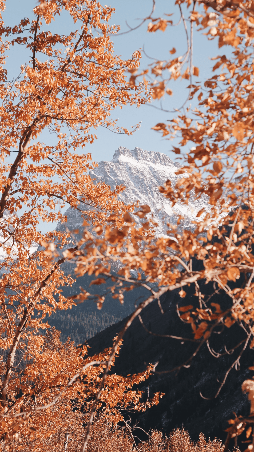 Fall Wallpaper Background For iPhone: Stunning Free HD Autumn Image. Glory of the Snow