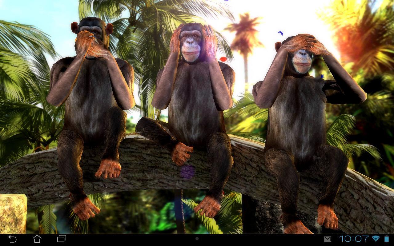 Three Wise Monkeys 3D for Android