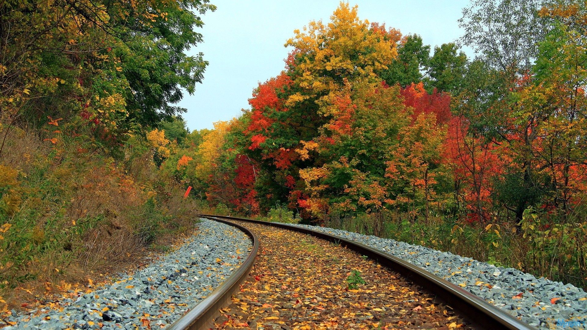 Relaxing Railroad Track Wallpaper