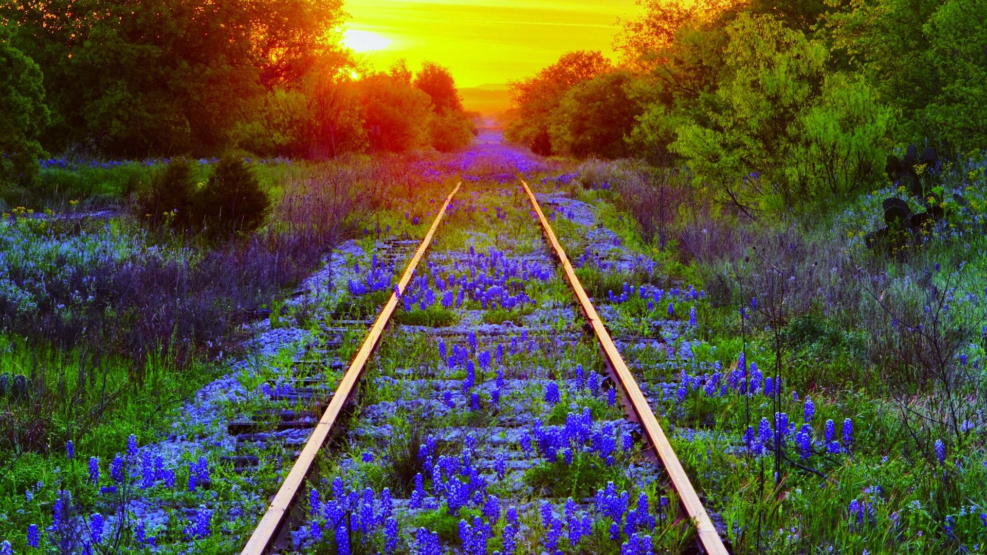Pretty Train Track Wallpaper