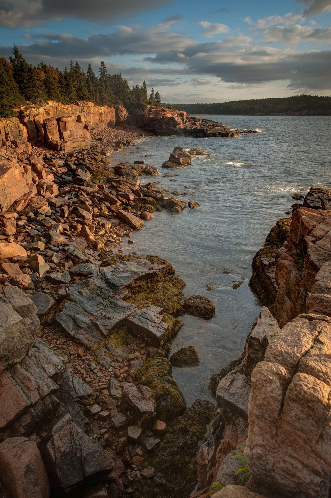 Acadia National Park Park in United States