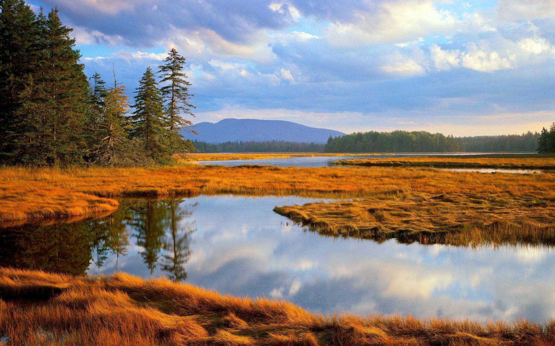 Bass Harbor Marsh, Acadia National Park, Maine