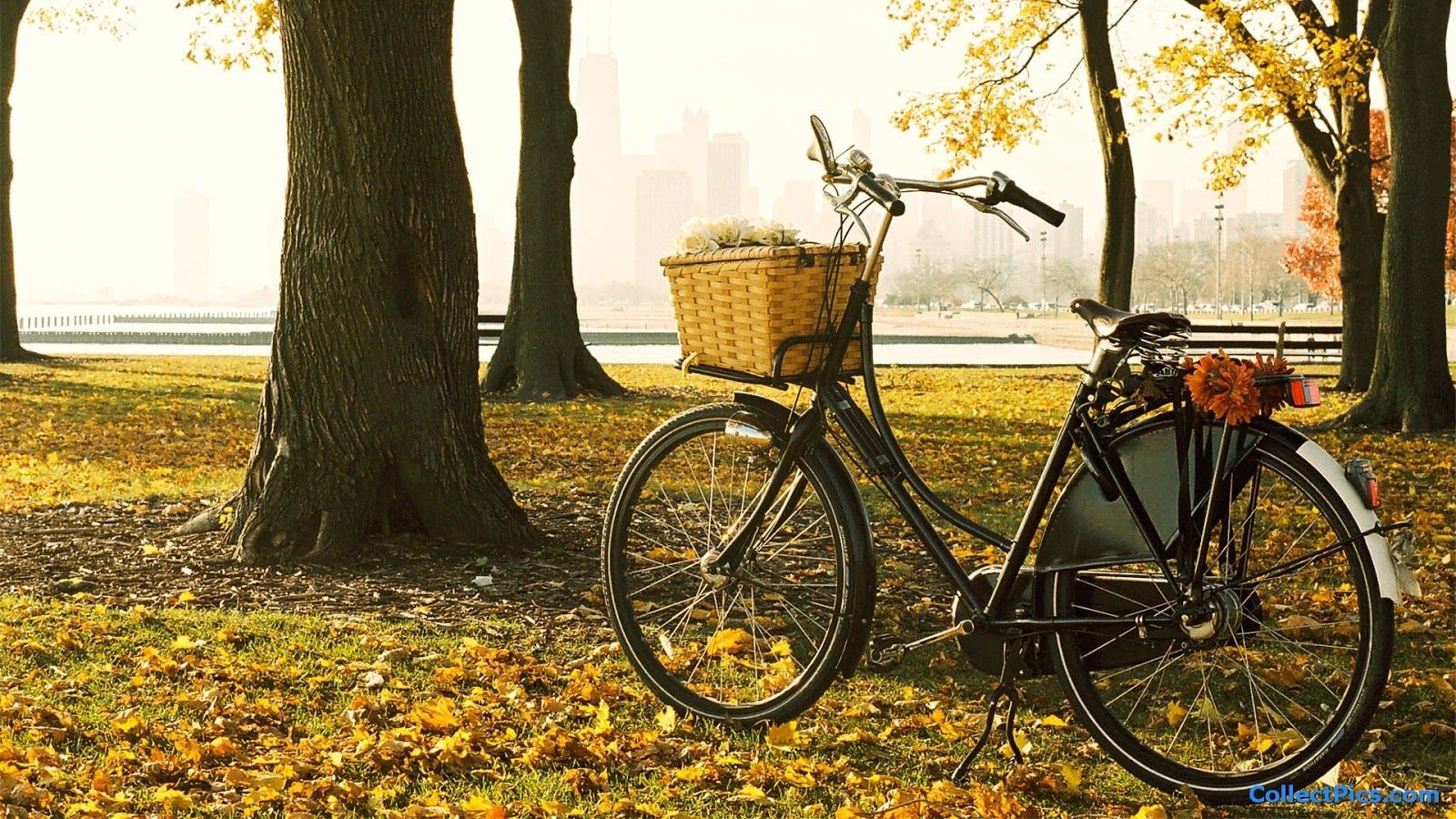 Unique Bicycle HD Wallpaper Sepeda Ontel HD Wallpaper