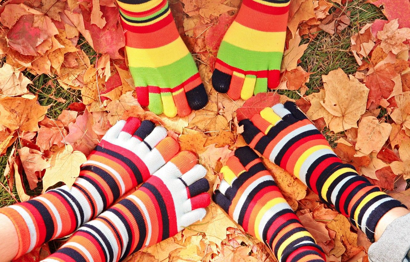 Wallpaper autumn, leaves, feet, socks image for desktop, section настроения