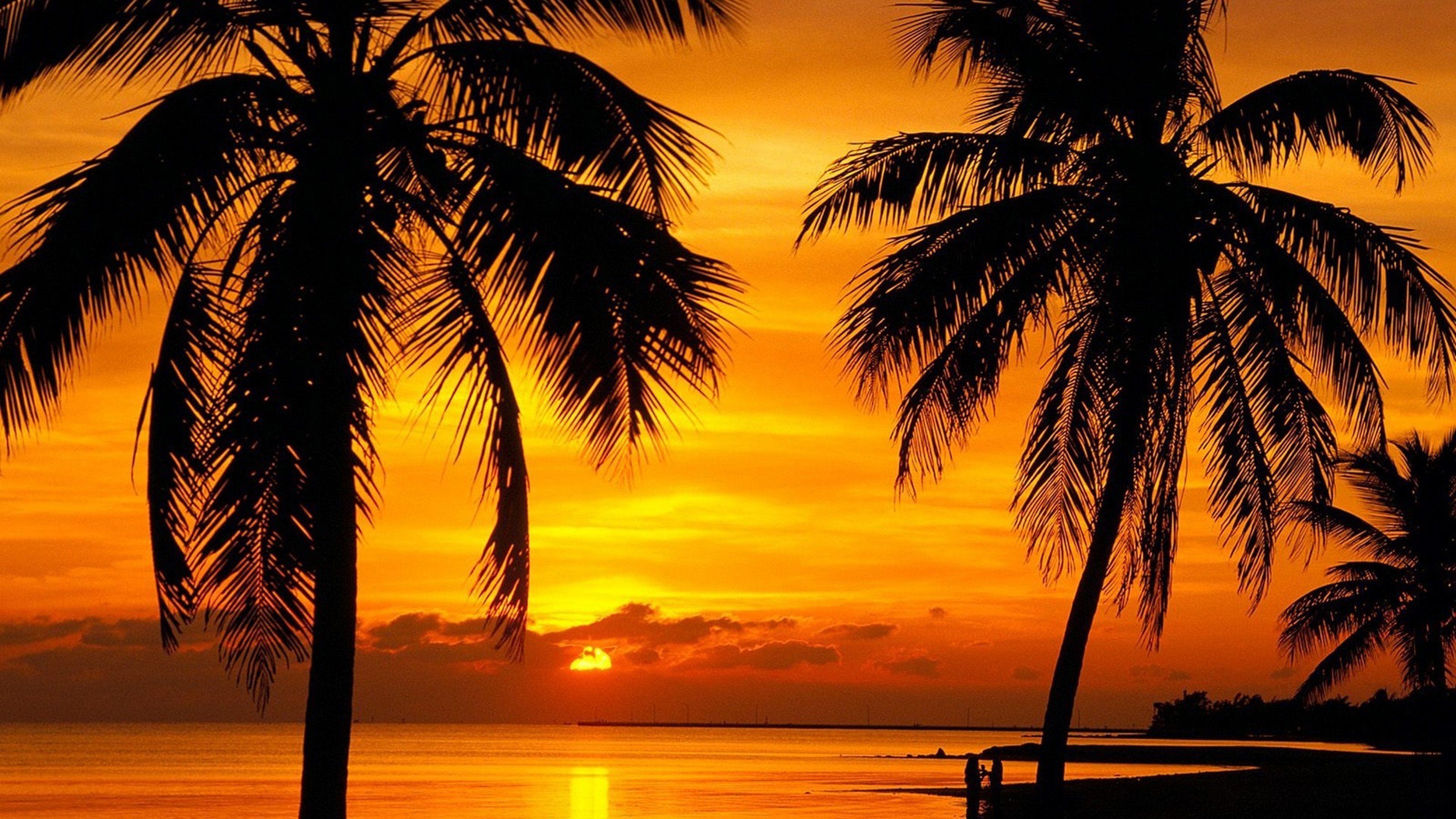 florida key, Sunset, Beach, 4000x2250 Wallpaper HD / Desktop and Mobile Background