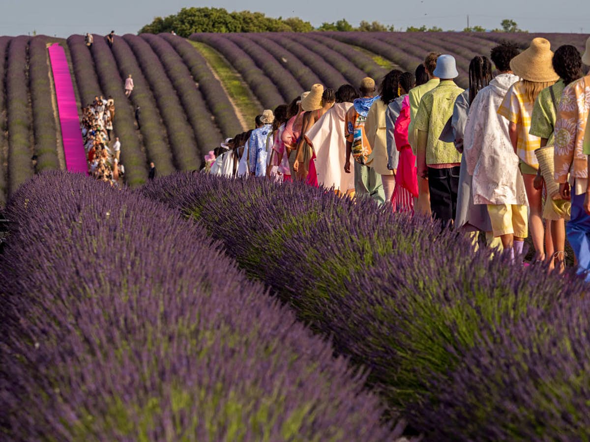 A fashion show was held in France's lavender fields's where to find similar spots around the world