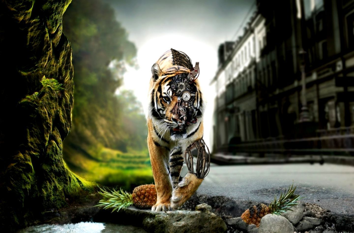 Anime Tiger HD Wallpaper