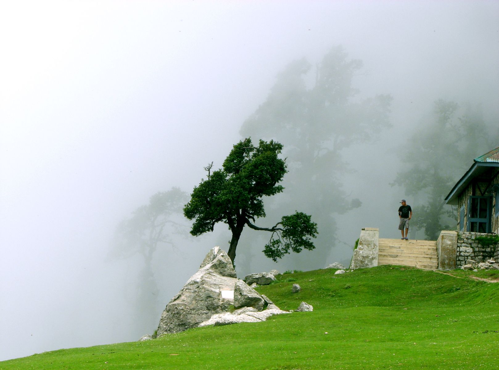 Cloudy Triund, above Mcleod Ganj, Himachal