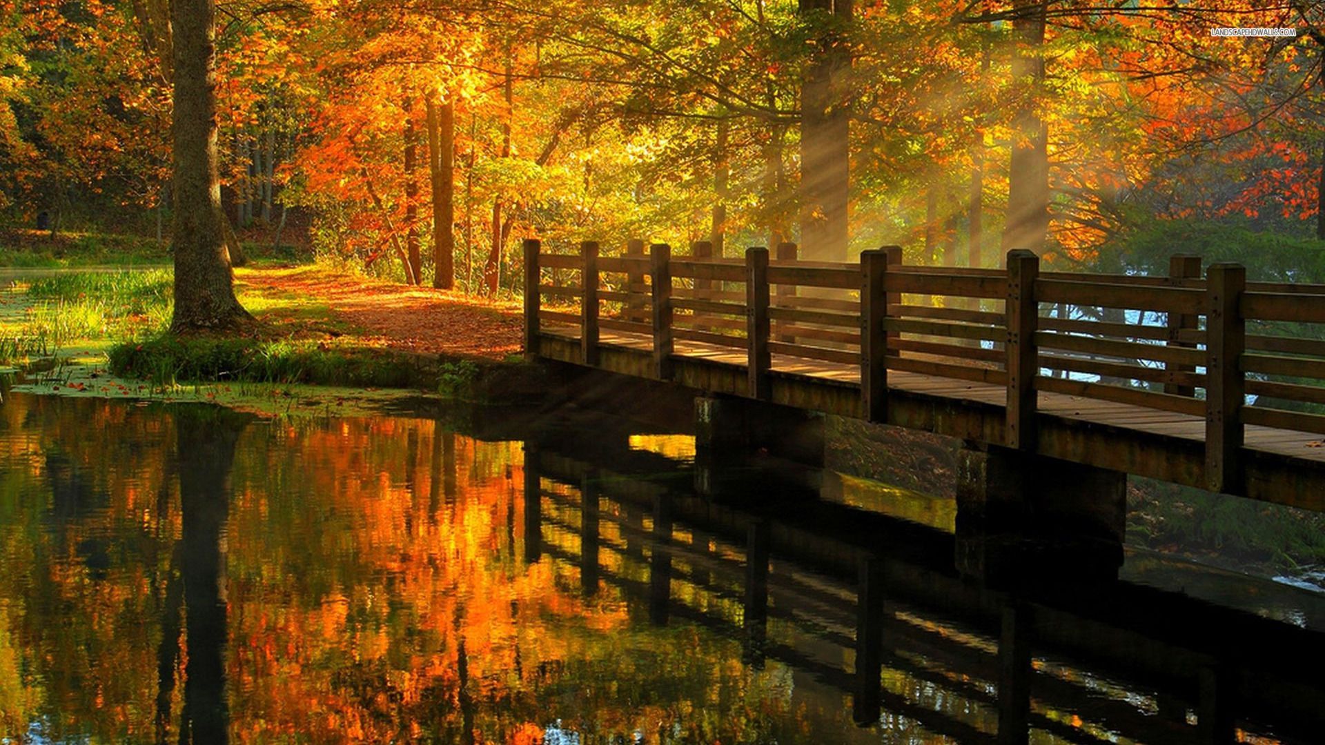 Wooden bridge in the autumn forest wallpaper. Forest wallpaper, Autumn forest, Picture of bridges
