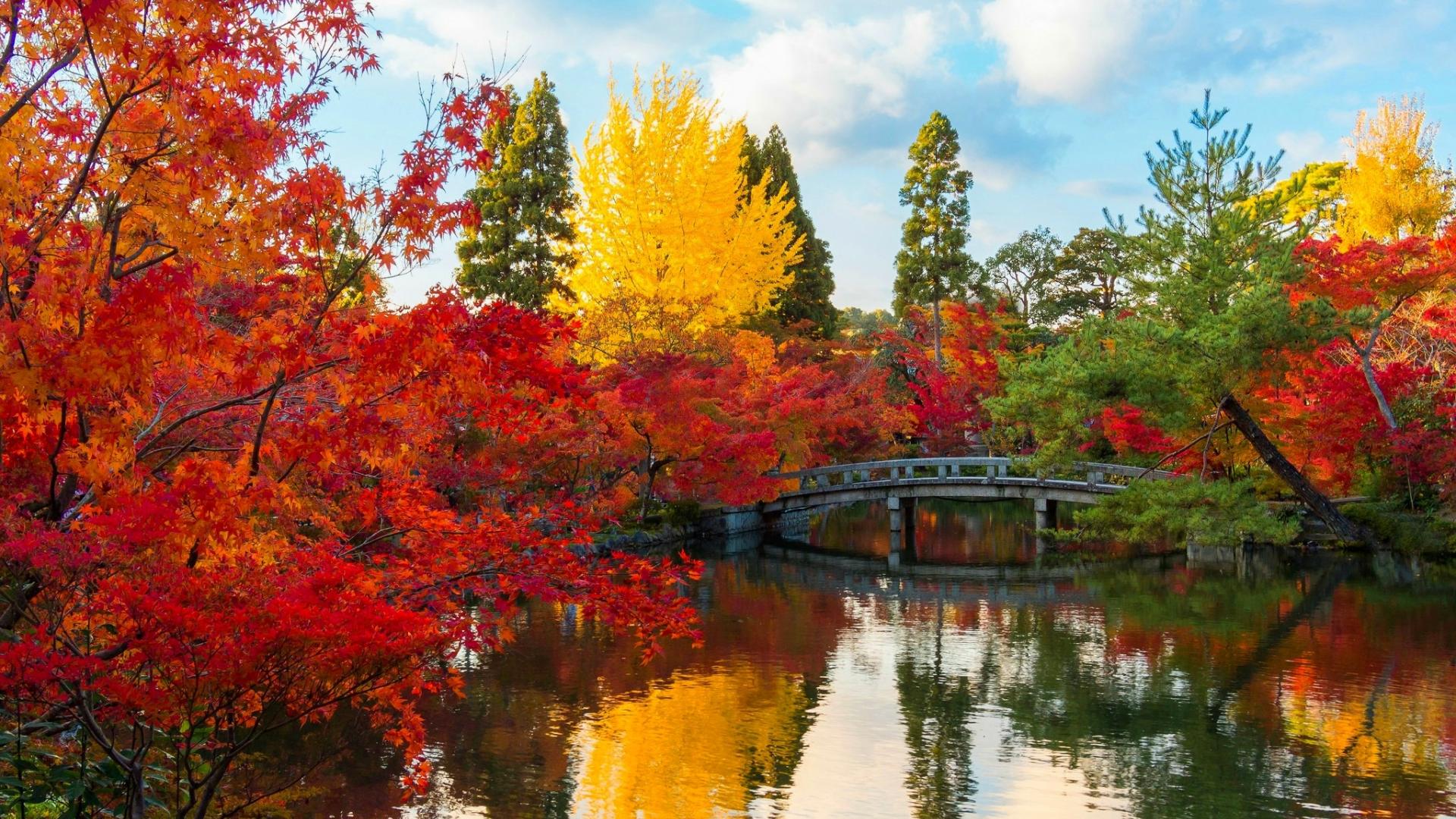 Bridge Colorful Colors Fall Foliage Forest Lake Pond Tree Wallpaper:1920x1080