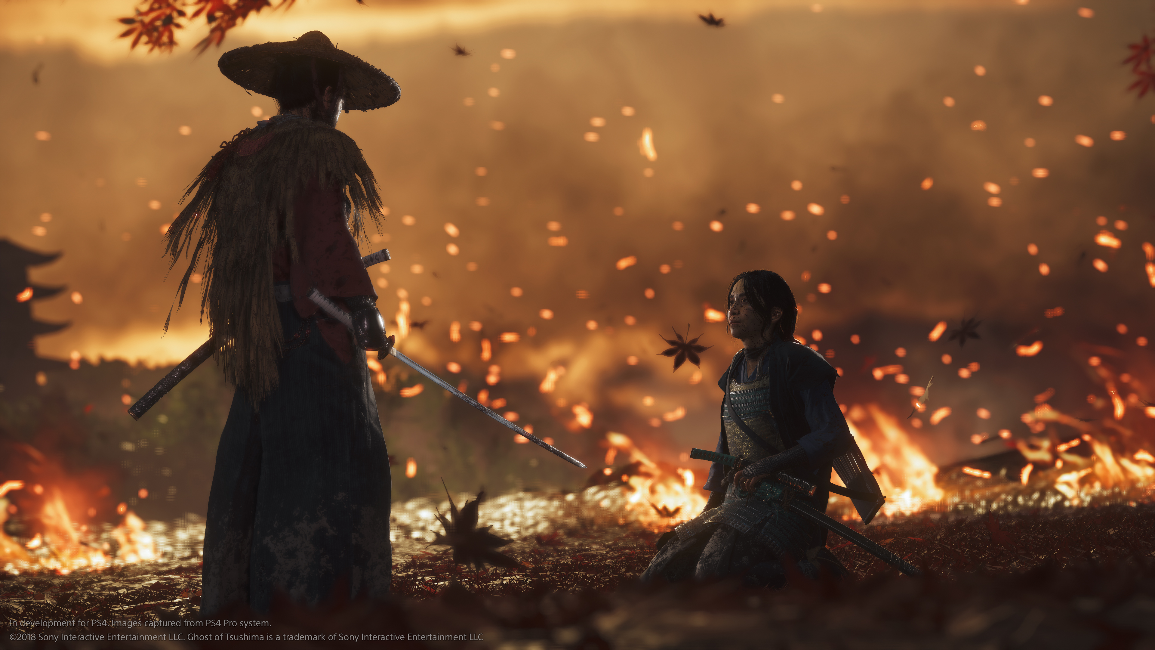 Ghost of Tsushima Image