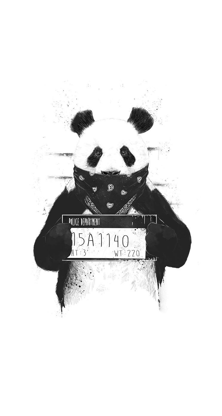 The iPhone Wallpaper Bad panda