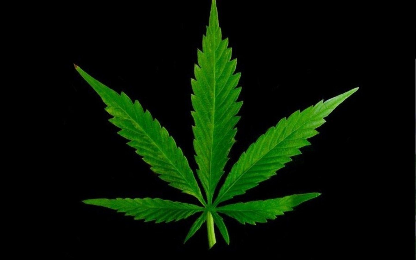 Marijuana Background