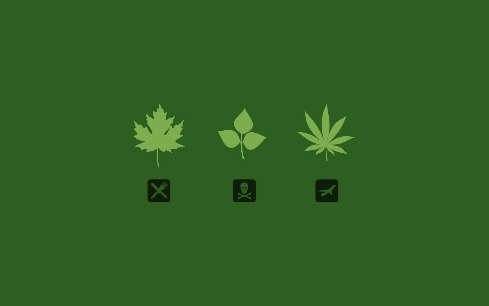 Marihuana Wallpaperx1050
