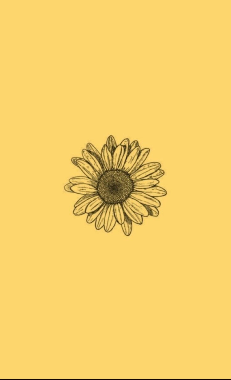 Aesthetic Yellow Flower Drawing HD Wallpaper