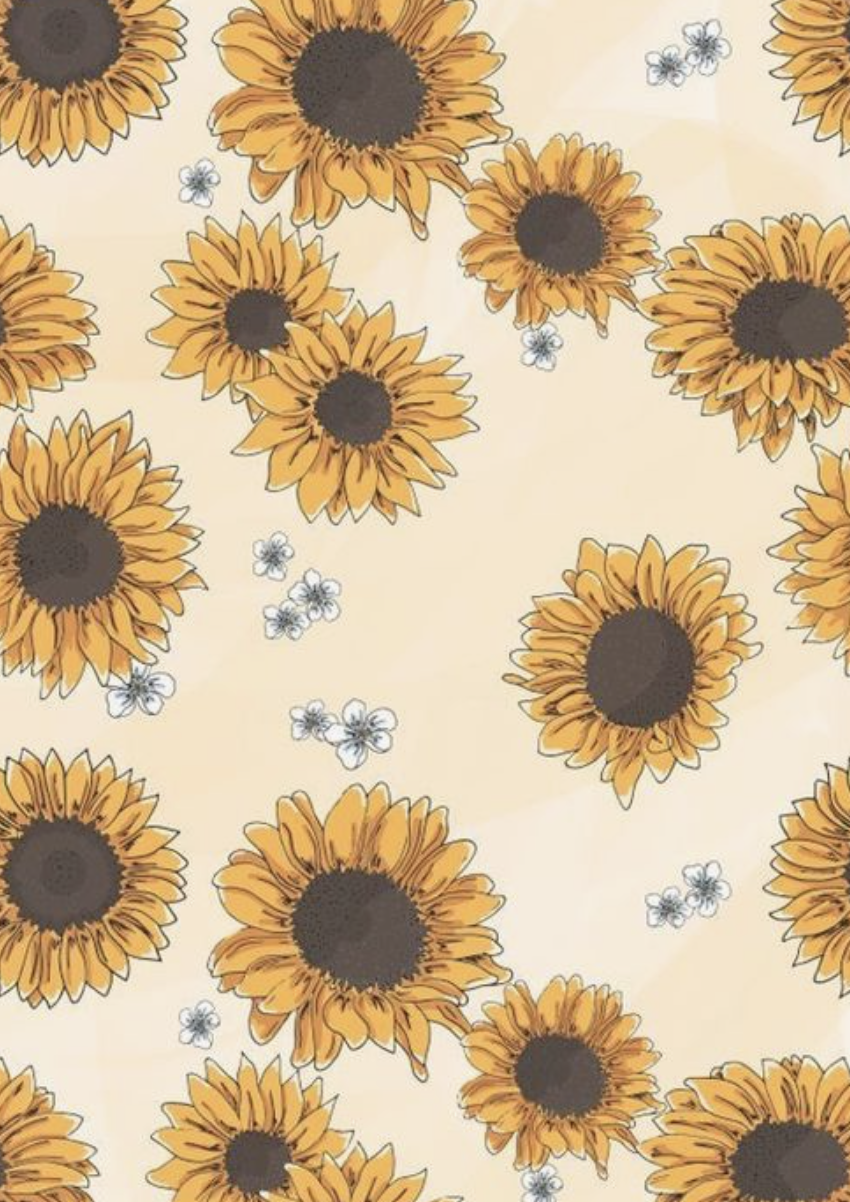Sunflower Drawing Wallpaper Free Sunflower Drawing Background