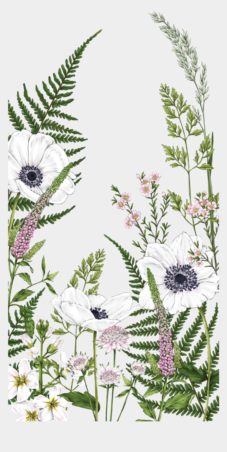 Flower Drawing Phone Wallpaper