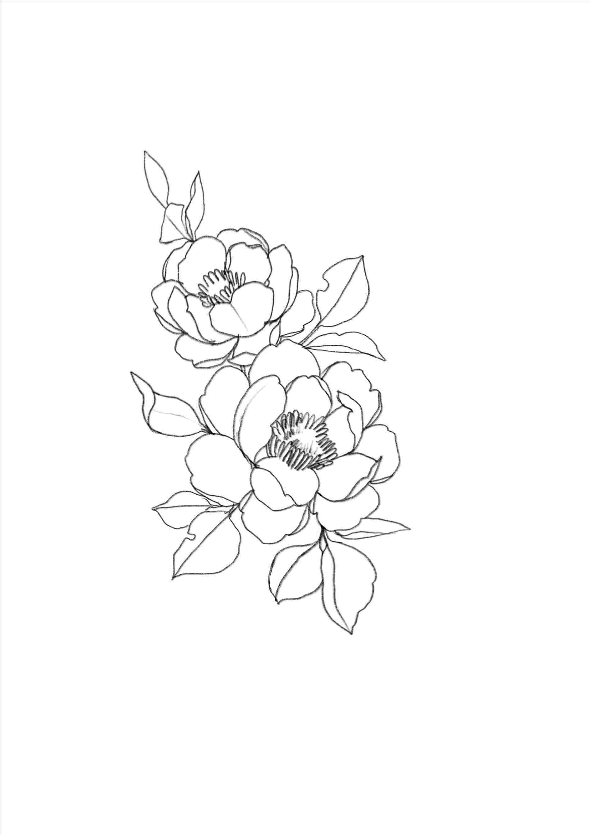 Minimalist Drawing Aesthetic Wallpaper. Minimalist Aesthetic Flower Drawings