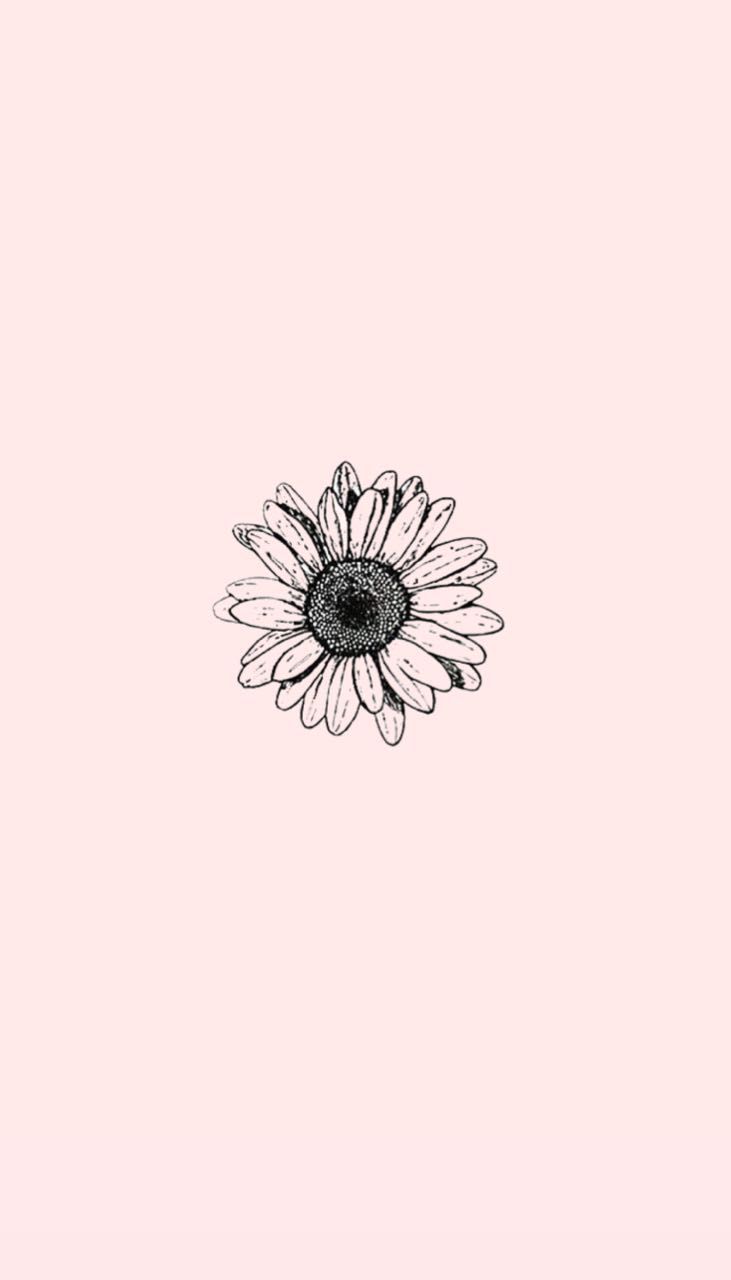 Aesthetic Flower Wallpaper Cartoon