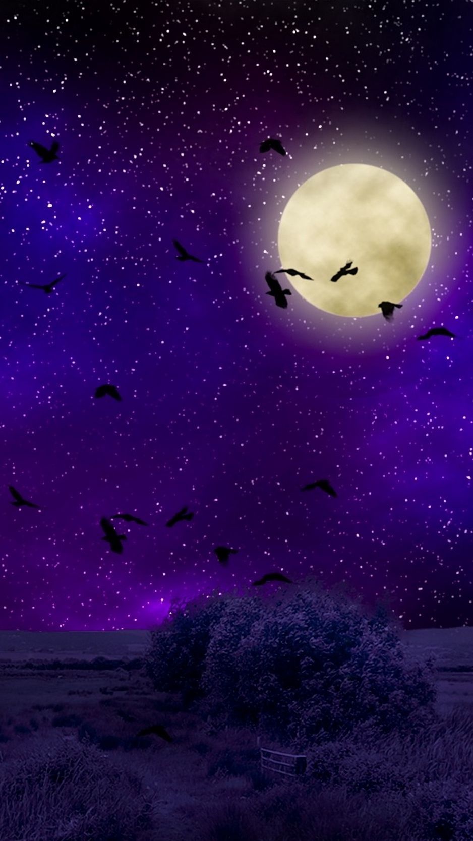 Moon, moonlight, birds, starry sky background. Halloween wallpaper background, Photohop wallpaper, Night sky painting