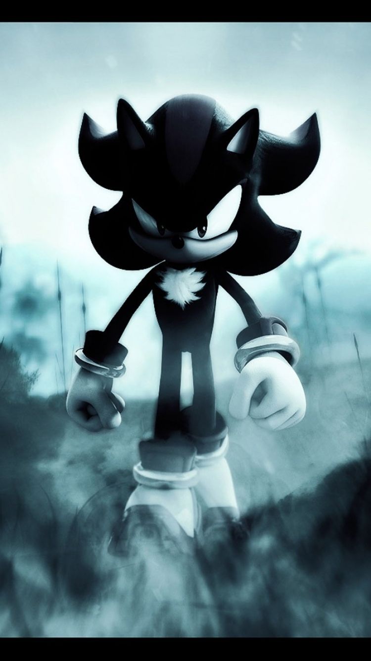 Sonic and Shadow Wallpaper Wallpaper