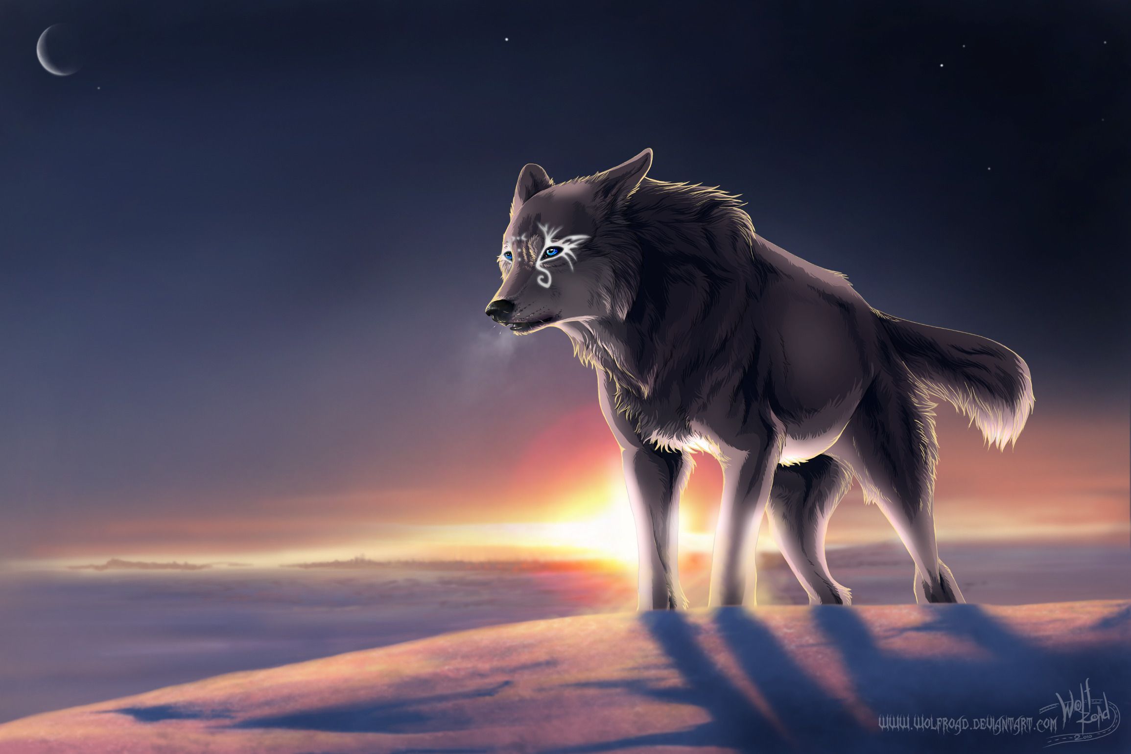 picture of magical wolves. Download wallpaper winter, wolf, magic free desktop wallpaper in. Wolf wallpaper, Fantasy wolf, Animal wallpaper