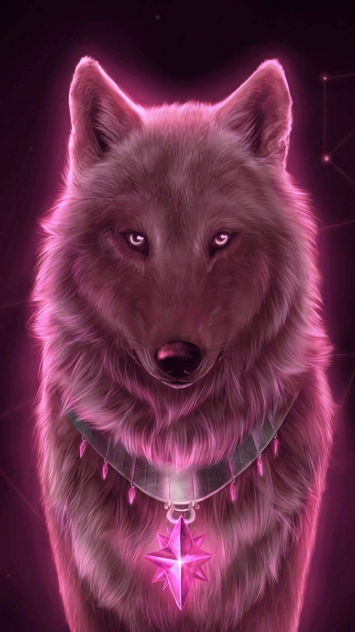 Pink Wolf Wallpaper Free Pink Wolf Background