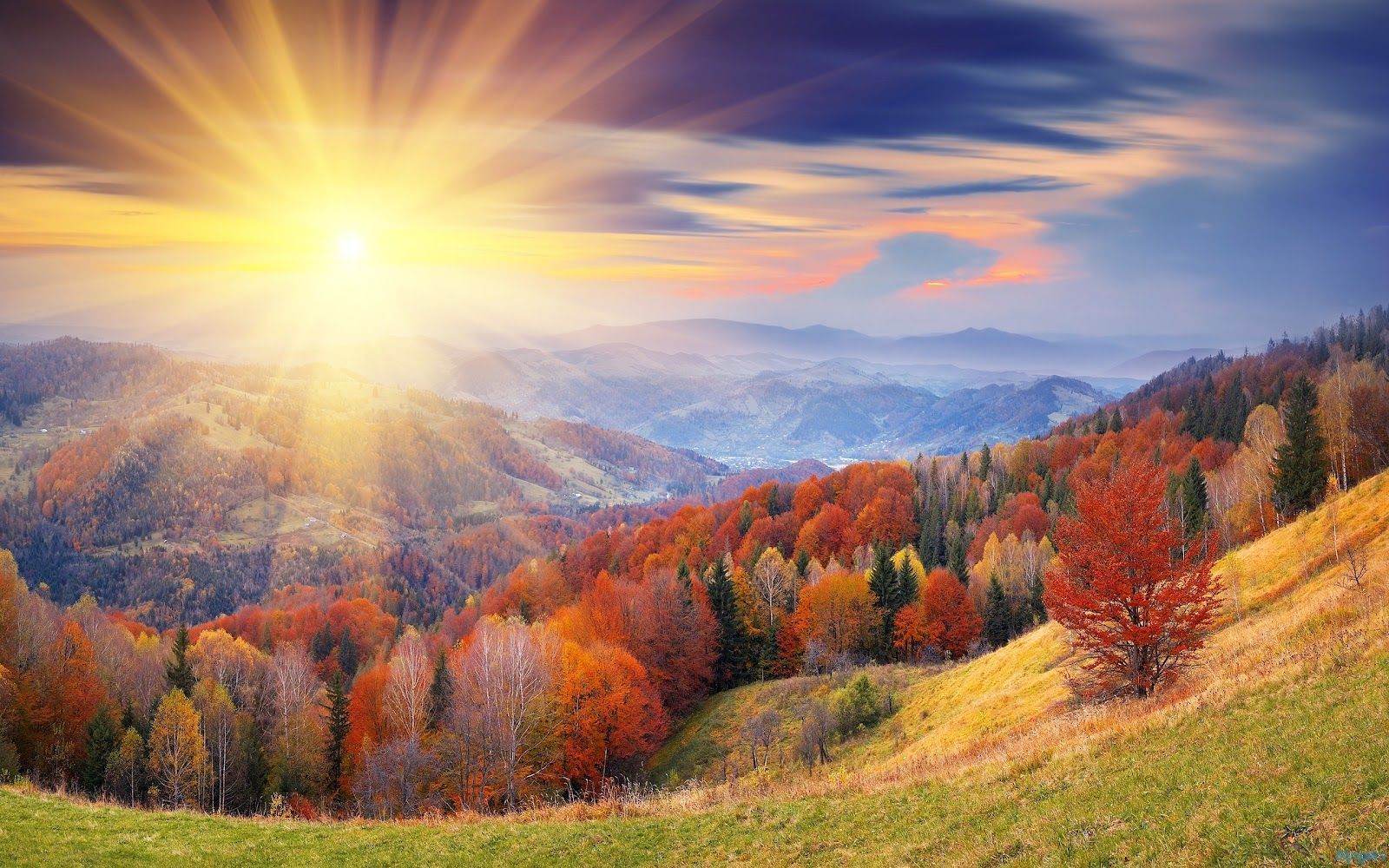 Autumn Forest Sunrise. Nature picture, Sunrise wallpaper, Beautiful nature wallpaper