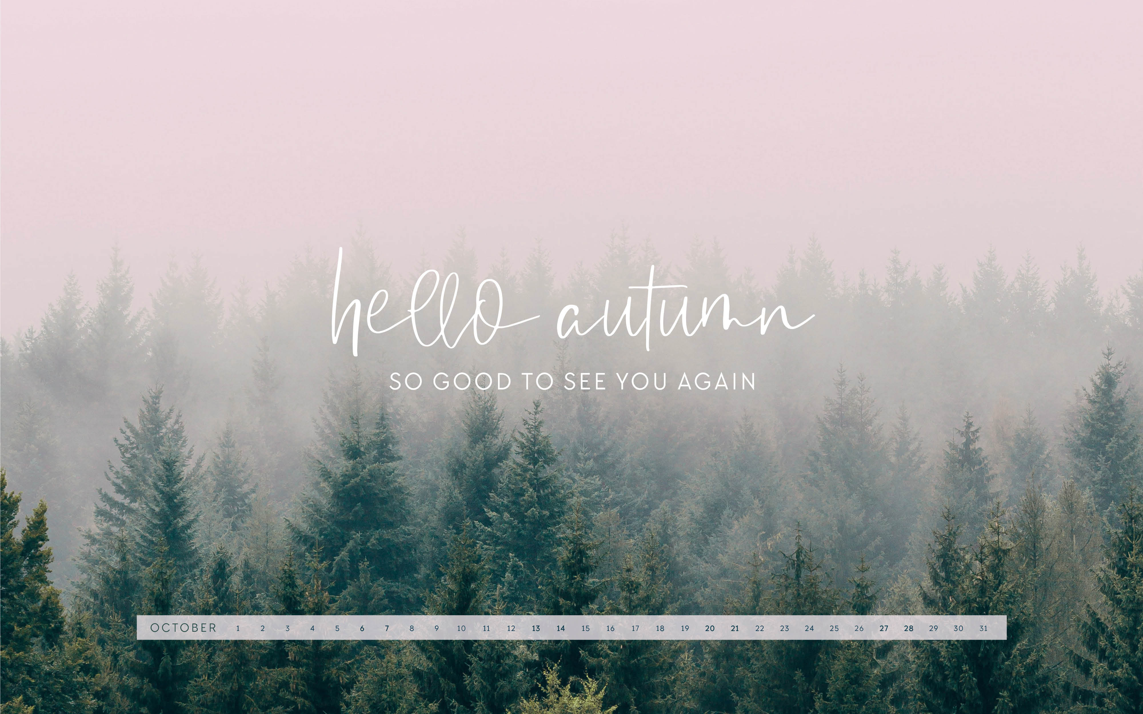 Discover Wallpapers - Wallpaper Cave