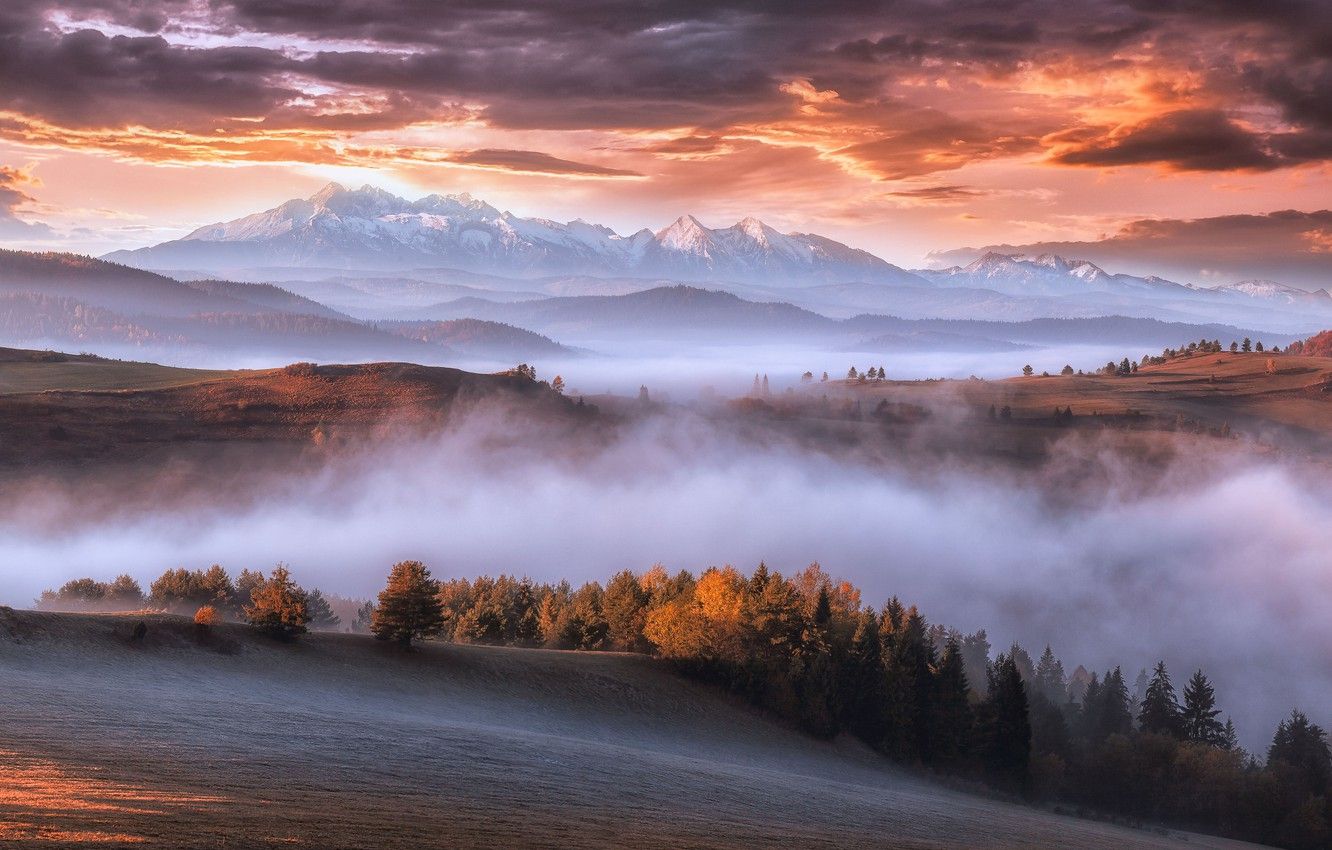 Wallpaper autumn, mountains, fog, morning, Carpathians image for desktop, section пейзажи