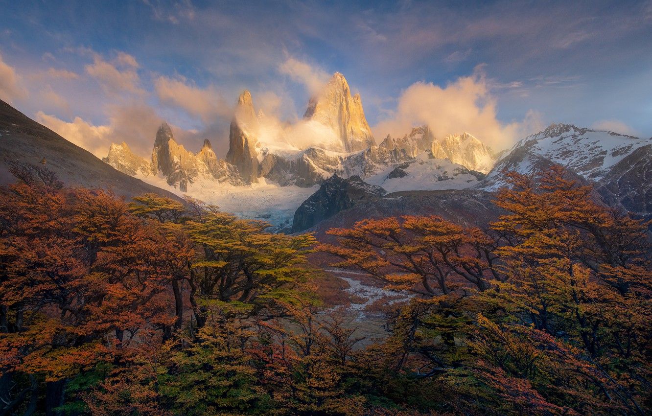 Wallpaper autumn, trees, mountains, paint, morning, peaks, Andes, South America, Patagonia image for desktop, section природа