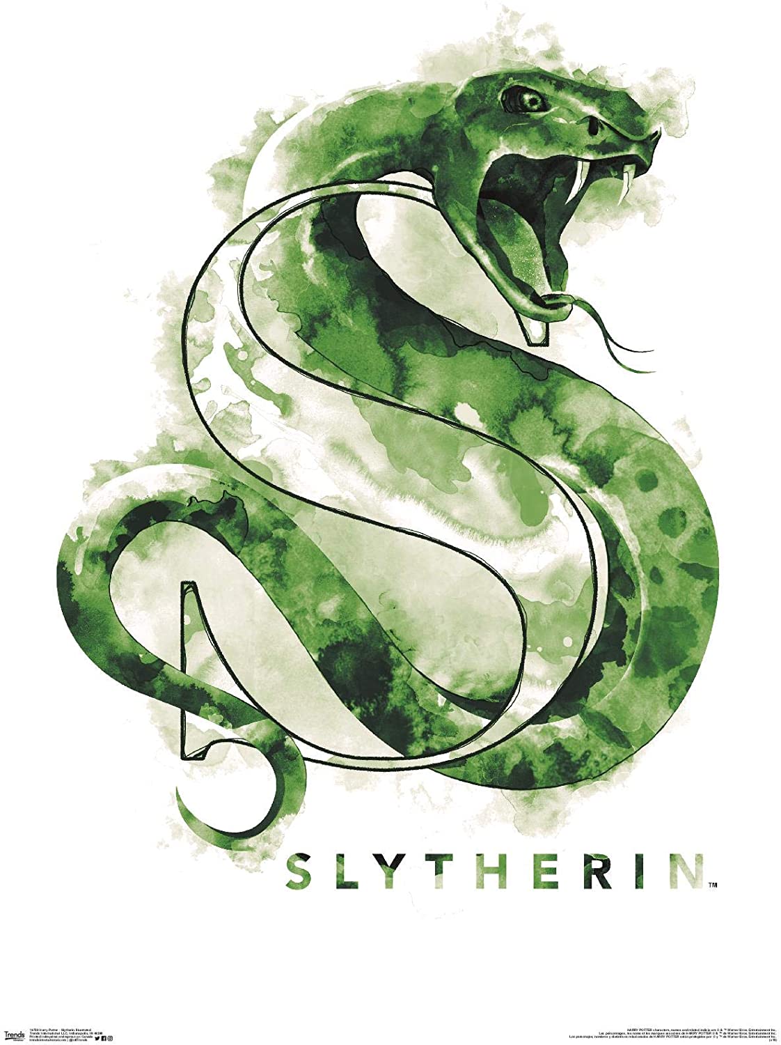 Trends International Wizarding World: Harry Potter Slytherin Illustrated House Logo Wall Poster, 22.375 X Premium Unframed Version: Posters & Prints