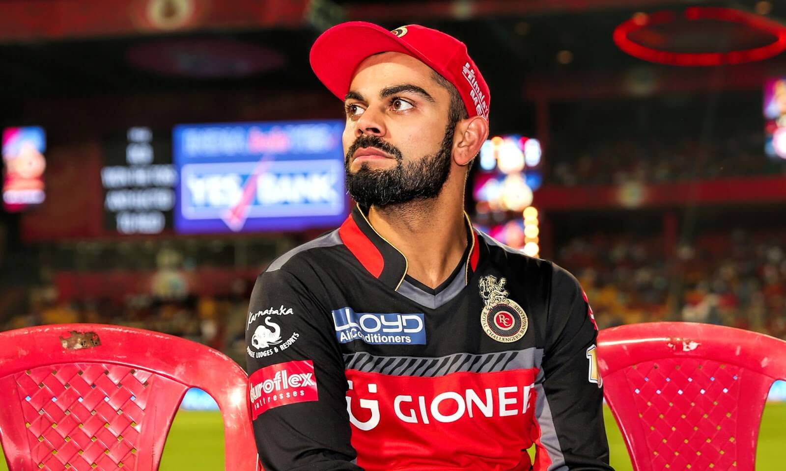 Know, What Kohli Said On Rcb S Buys In Ipl Auction Kohli Ipl Ad