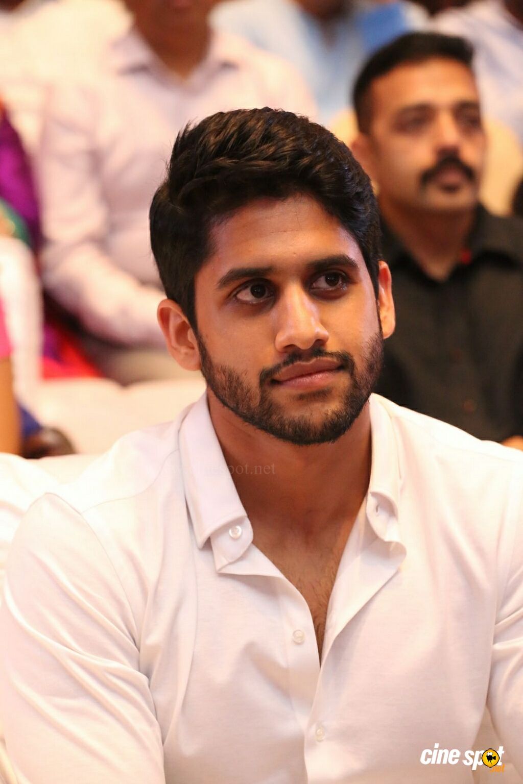 Naga Chaitanya at Sahasam Swasaga Sagipo Audio Launch