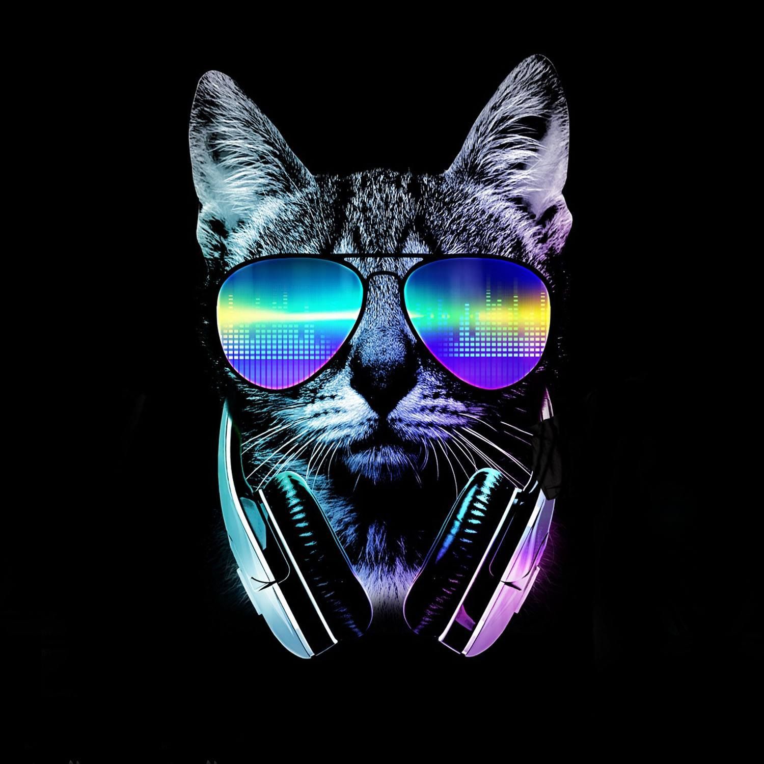 nice :). Cool cats, Wallpaper, Music lovers