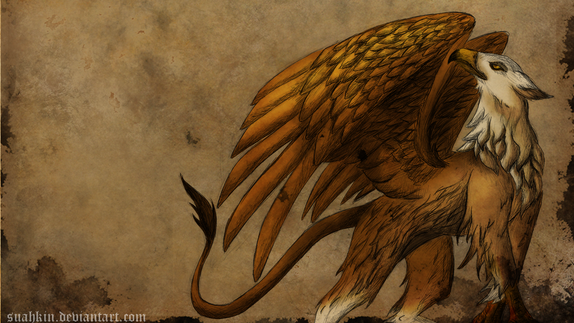 Gryphon Background. Gryphon Wallpaper, Gryphon Background and Black Gryphon Wallpaper
