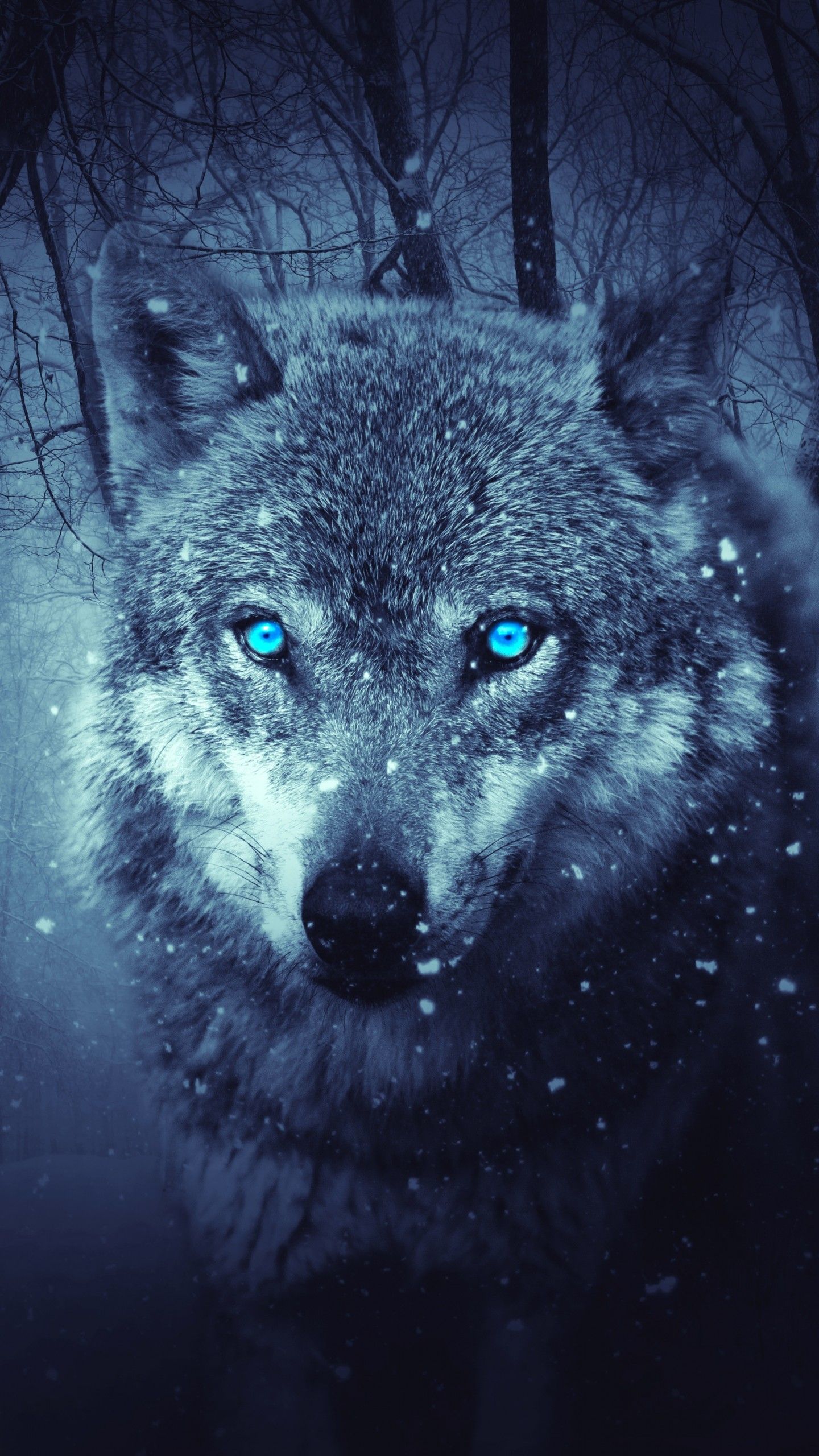 Wallpaper Wild Wolf, Blue eyes, Scary, Snowfall, Winter, 4K, Animals,. Wallpaper for iPhone, Android, Mobile and Desktop