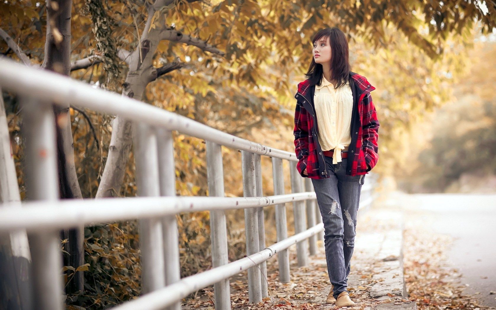 Beautiful Girl Street Autumn wallpaperx1050