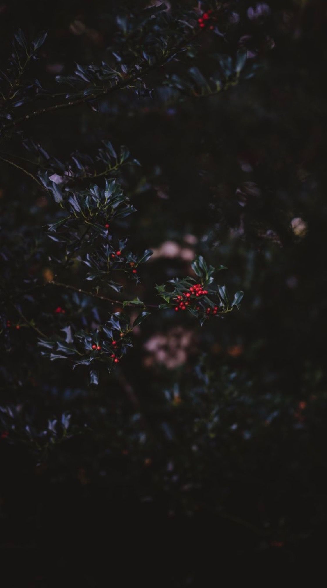 Heaven help me now. Fall wallpaper, iPhone wallpaper fall, Abstract art wallpaper