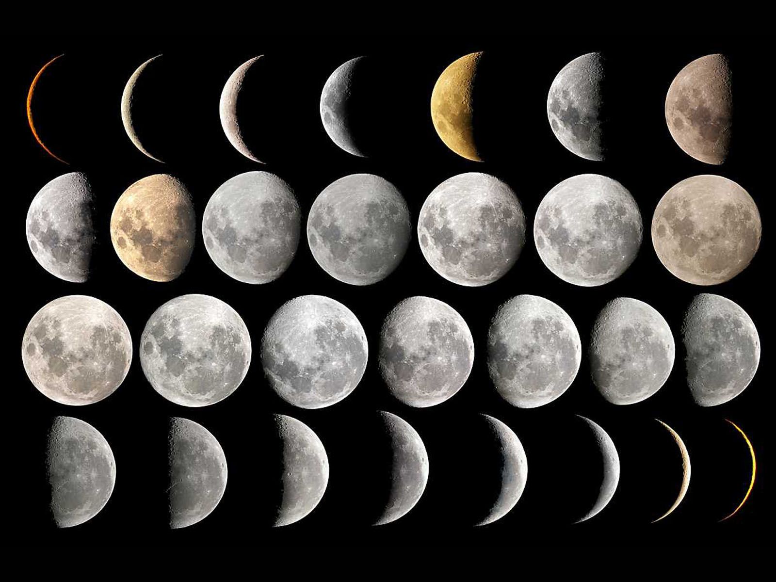Desktop Wallpaper: Moon Phases
