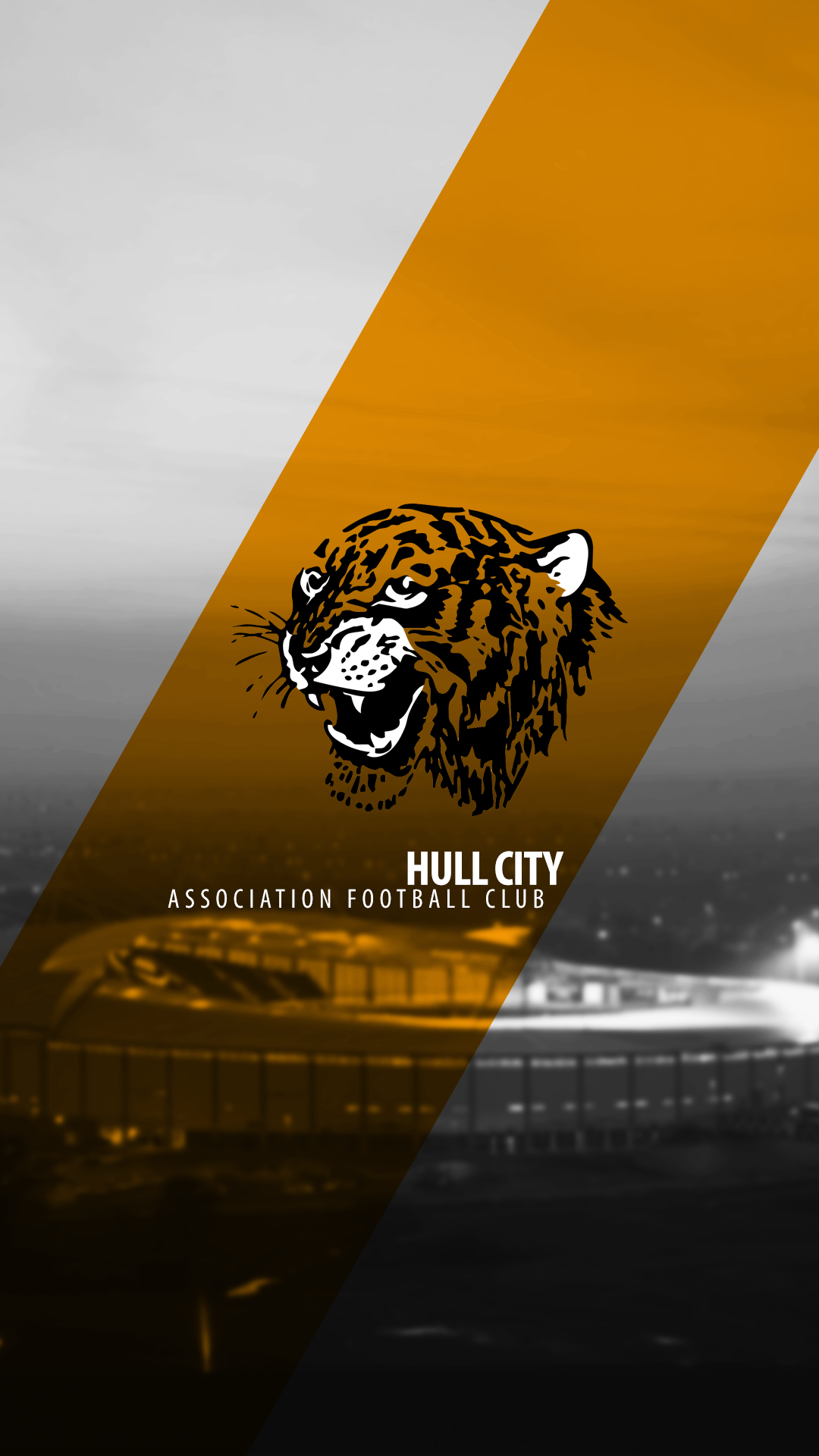 Hull City AFC Wallpaper Free Hull City AFC Background