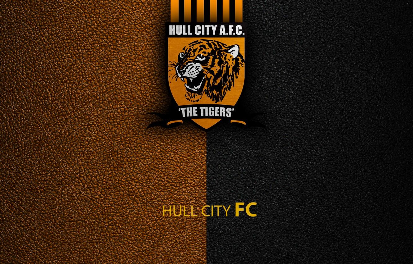 Wallpaper wallpaper, sport, logo, football, English Premier League, Hull City image for desktop, section спорт