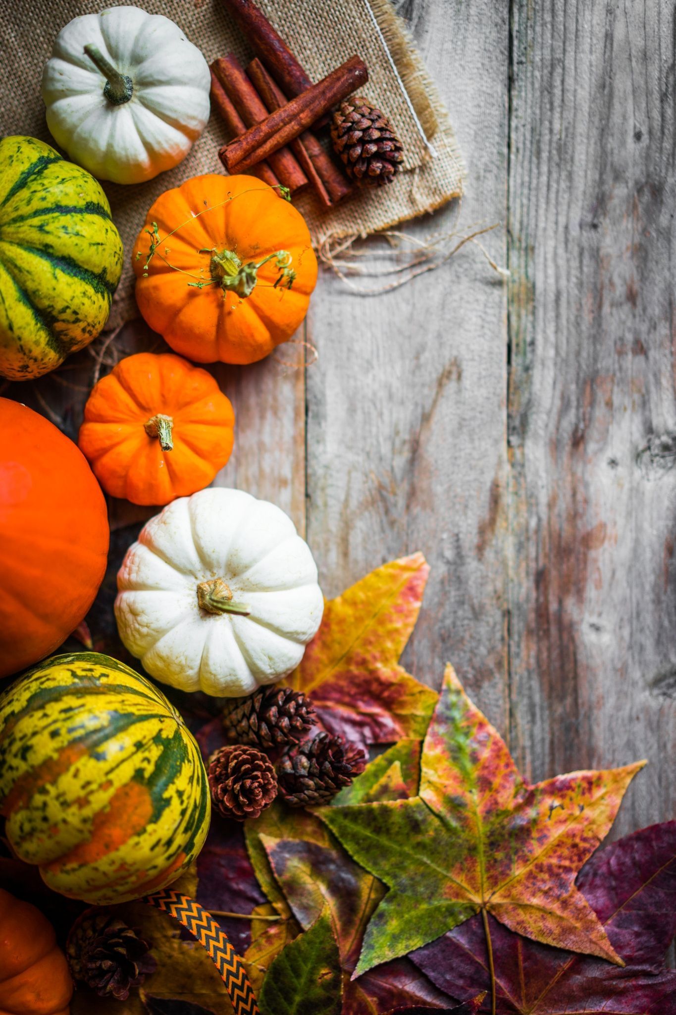 Colorful pumpkins and fall leaves on rustic wooden background pumpkins and fa. Thanksgiving background, Fall background iphone, Fall leaves background