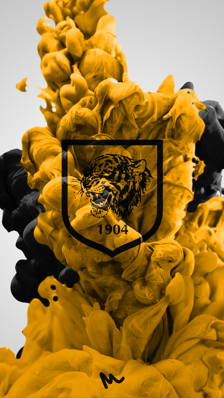 Hull City AFC Wallpaper Free Hull City AFC Background