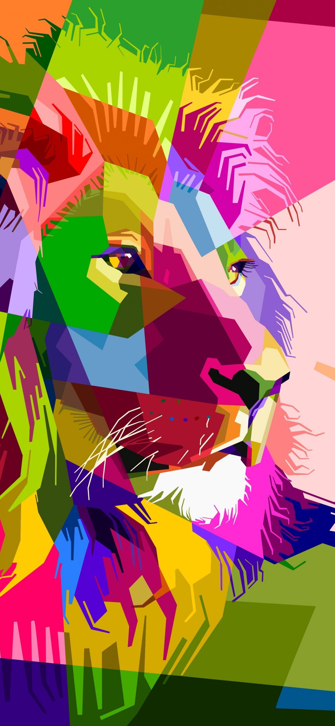 Download 1125x2436 wallpaper lion, multicolor, geometry, muzzle, abstract, digital art, iphone x 1125x2436 HD image, background, 6698
