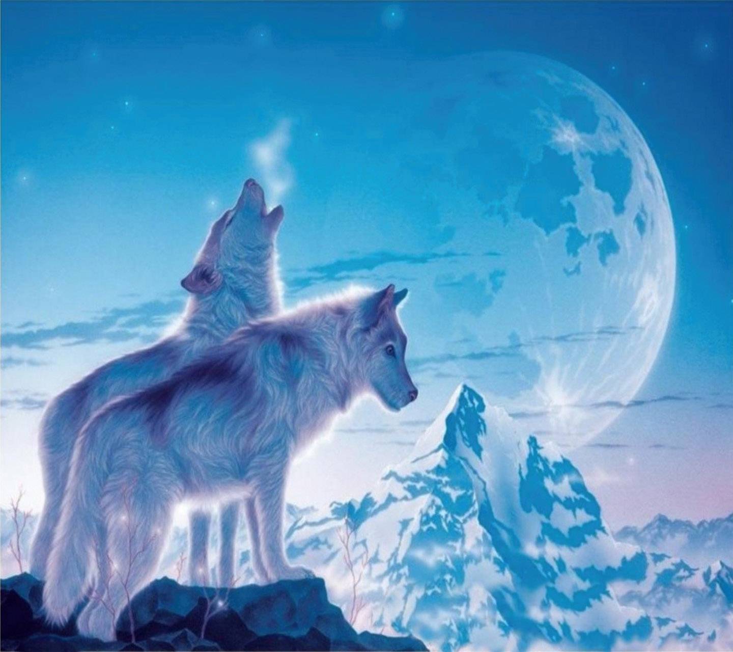 Beautiful Wolves Wallpaper